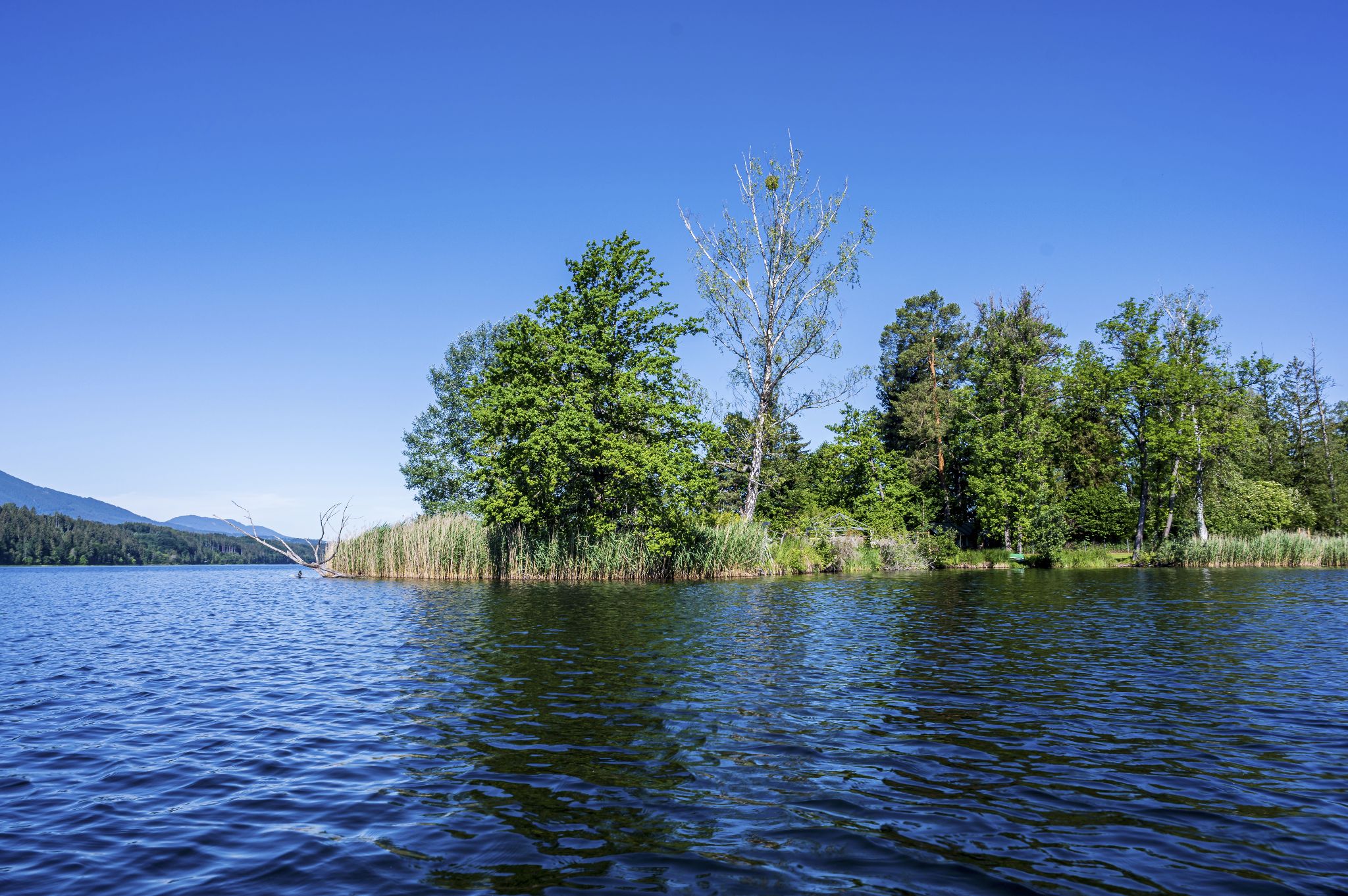 Kajaktour Staffelsee 12.06.22